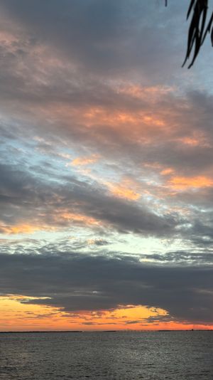 Coastal sunset over calm water with dramatic layered clouds glowing pink and orange, a distant bridge silhouette on the horizon and palm fronds framing the sky.