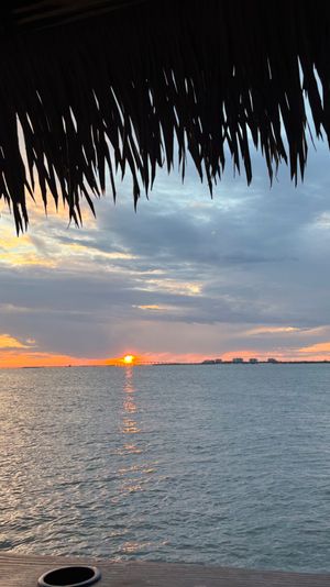 Silhouetted palapa fringe framing a vibrant tropical sunset over a calm bay, sun reflecting on the water with a distant bridge and shoreline on the horizon.