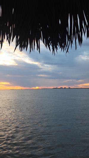 Silhouetted palm-frond thatch framing a pastel sunset over calm coastal waters with a distant bridge and skyline on the horizon.
