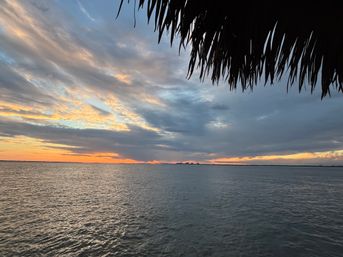 Tropical coastal sunset over calm water with colorful cloud-streaked sky and silhouetted palm fronds framing the horizon