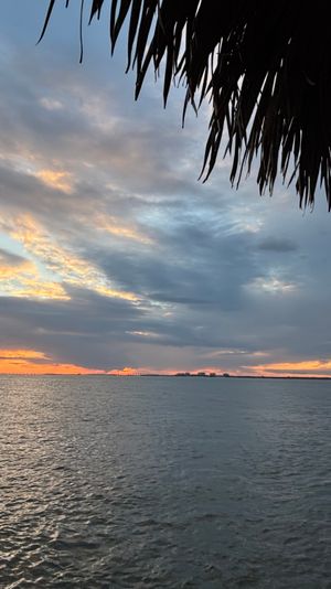 Tropical coastal sunset over calm water with colorful cloud-streaked sky and silhouetted palm fronds framing the horizon