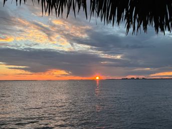 Vibrant sunset over a calm bay, golden sun dipping behind a distant bridge with its reflection on the water, palm fronds silhouetted across the top.