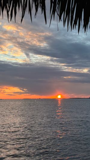 Vibrant sunset over a calm bay, golden sun dipping behind a distant bridge with its reflection on the water, palm fronds silhouetted across the top.