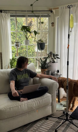 Cozy sunlit living room: person sitting cross-legged on a beige couch with a laptop and an IV drip on a stand connected to their arm, surrounded by hanging and potted plants by a large window while a brown dog drinks from bowls nearby.