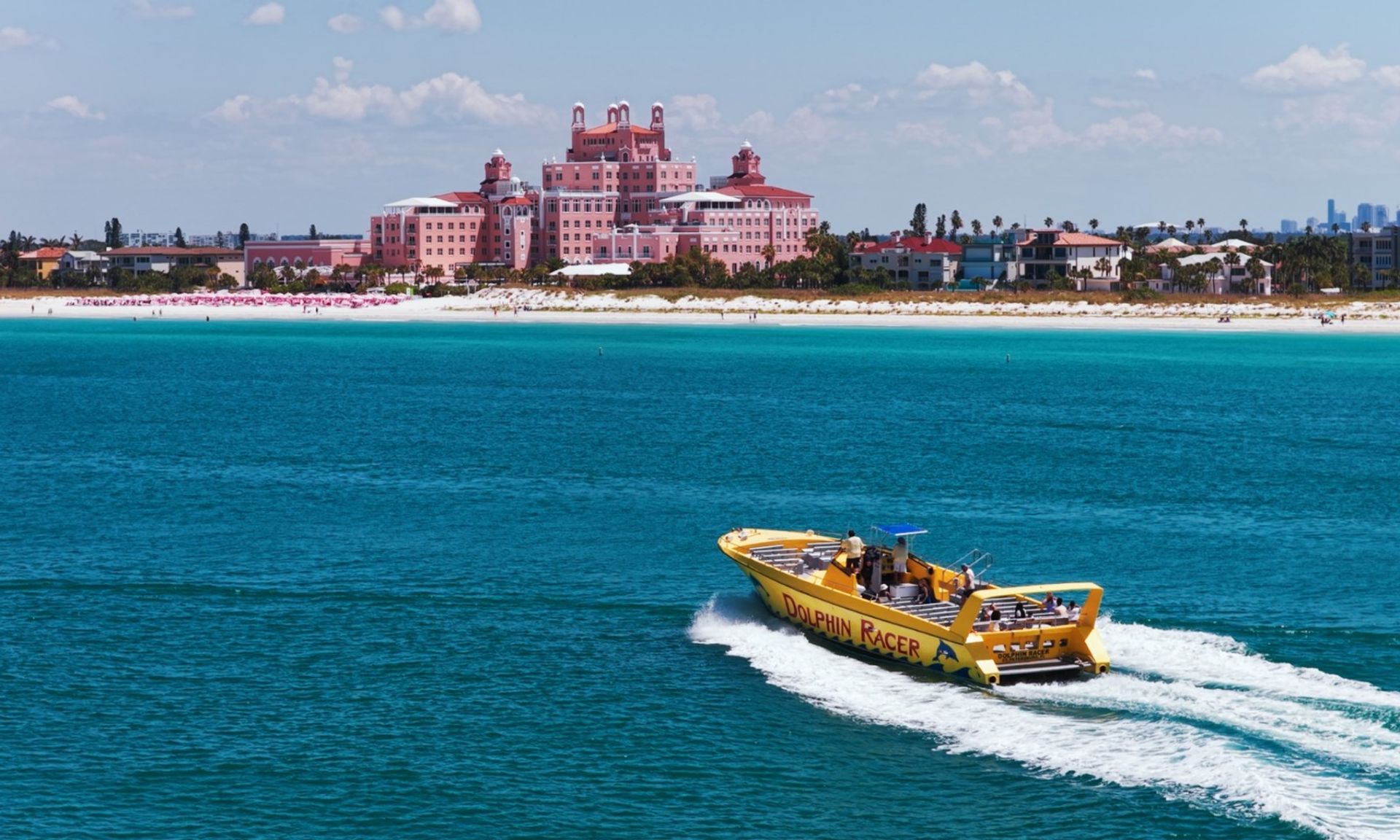 Dolphins, Drinks & Coastal Views Aboard the Dolphin Racer in St. Pete Beach image 1