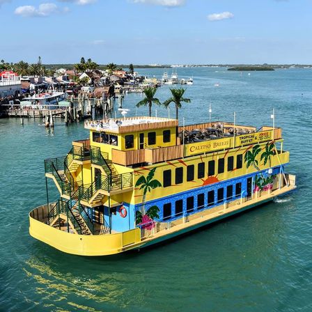 AYCD Tropical Party & Dinner Cruise in St. Pete Area image 1