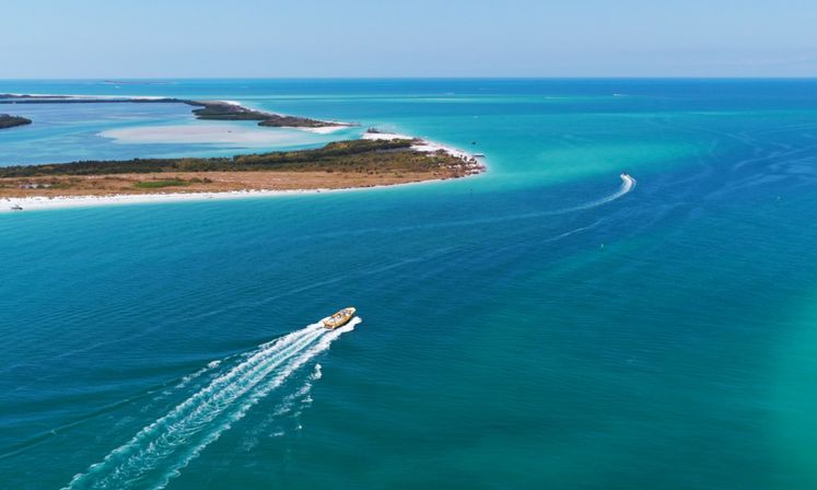 Dolphins, Drinks & Coastal Views Aboard the Dolphin Racer in St. Pete Beach image 5