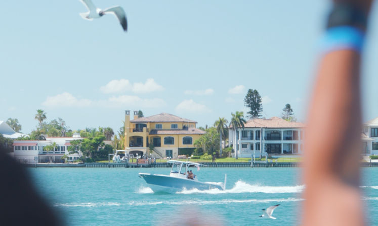 Dolphins, Drinks & Coastal Views Aboard the Dolphin Racer in St. Pete Beach image 8