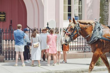 Playful harnessed chestnut horse from a carriage passes a group of tourists on a sidewalk outside a pink historic building with an ornate iron fence