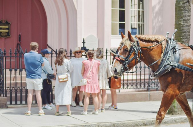 Playful harnessed chestnut horse from a carriage passes a group of tourists on a sidewalk outside a pink historic building with an ornate iron fence