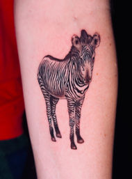 Close-up of a playful black-and-gray zebra forearm tattoo — small realistic standing zebra with crisp stripes and soft shading on pale skin.
