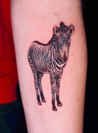 Close-up of a playful black-and-gray zebra forearm tattoo — small realistic standing zebra with crisp stripes and soft shading on pale skin.