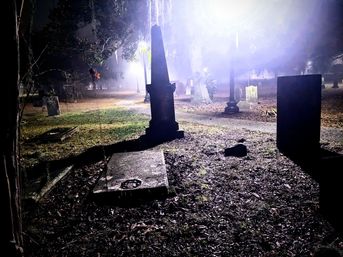 Savannah Ghost Tour: Haunted History Walk by Local Author for Groups image 8