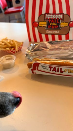Small dog licking its nose at a foot-long hot dog and fries on a white table inside a retro diner, striped takeaway box, foil-wrapped sandwich and dipping sauces visible.