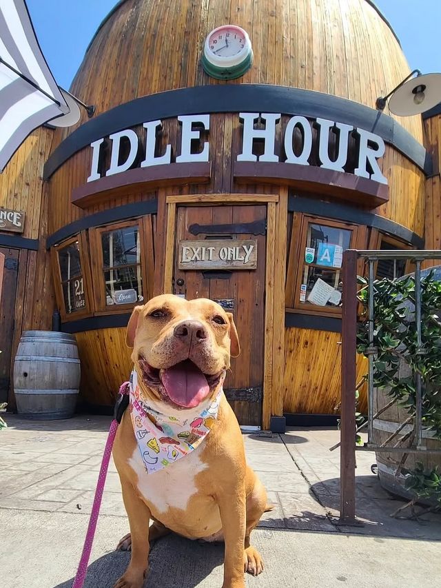 Idle Hour image 3