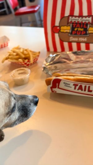 Small tan dog sniffing a hot dog in a cardboard sleeve on a white diner table with fries, dipping sauces, and a red-and-white striped takeout bag.