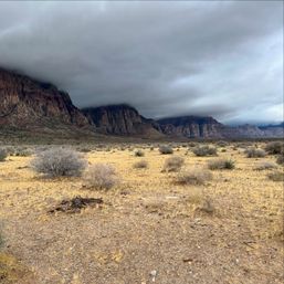 Moody desert landscape with golden scrub and gravel plain leading to red‑rock cliffs partially shrouded by low, heavy storm clouds