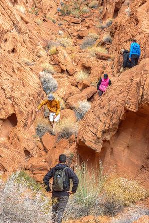 Group of hikers navigating a steep red sandstone canyon, scrambling over orange rocks and dry desert shrubs in a rugged desert landscape.