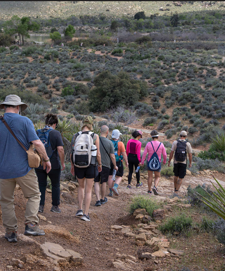 Group of hikers descending a rocky desert hiking trail through low scrub and yucca, wearing backpacks and carrying water bottles against a scenic arid canyon backdrop.