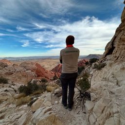 Hiker standing on a rocky overlook gazing at red-rock formations and a wide desert valley with a distant city skyline under a dramatic blue sky.