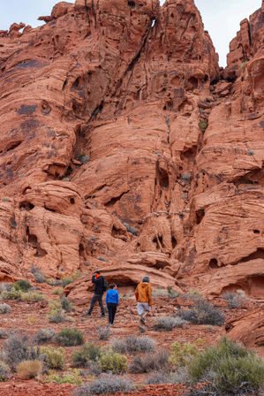Three hikers in bright jackets trekking through sparse desert shrubs below towering, honeycombed red sandstone cliffs in a Southwestern US red rock canyon, ideal for desert hiking.