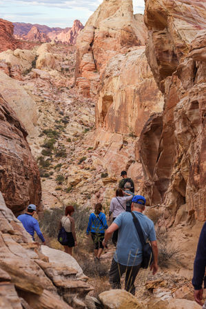 Group of hikers winding through a red-rock desert canyon framed by towering layered sandstone cliffs and sparse scrub, a classic American Southwest hiking scene.