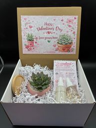 Design a Succulent Garden Workshop image 13