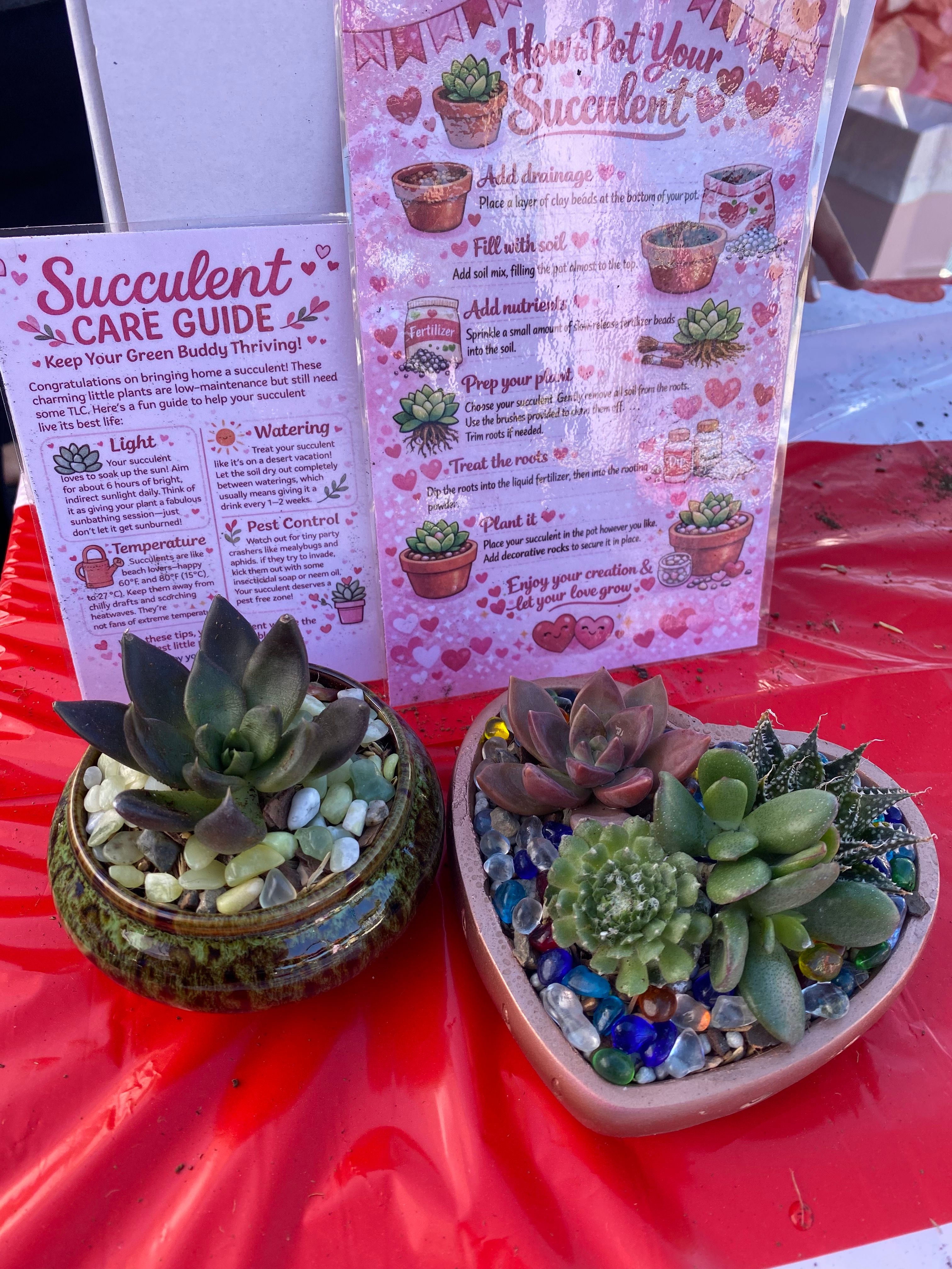 Design a Succulent Garden Workshop image 4