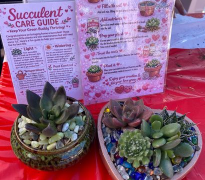 Laura’s Succulent Designs