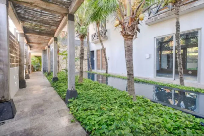Covered tropical courtyard walkway beside a narrow reflecting pool with palm trees and lush green groundcover along a modern white building