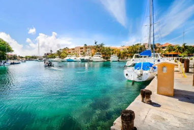 Tropical marina with crystal-clear turquoise water, sailboat and yachts moored at a sunny dock, palm trees and waterfront buildings under a bright blue sky