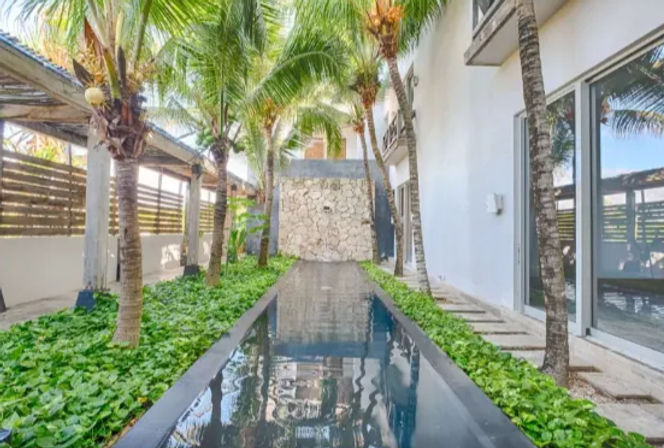 Serene tropical courtyard with a narrow reflecting pool bordered by lush groundcover and palm trees, beside a white modern villa with sliding glass doors and a stone feature wall.