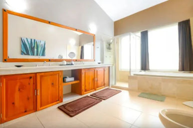 Bright, spacious master bathroom with double-sink vanity, warm wood cabinets, large framed mirror, glass walk-in shower and sunlit bathtub by a window