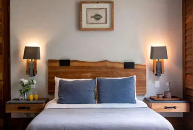 Cozy modern bedroom with live-edge wooden headboard, two blue throw pillows on a neatly made bed, matching wall-mounted bedside lamps, framed fish artwork above, and wooden nightstands with simple decor.