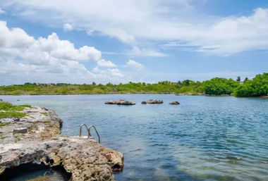 Rocky shoreline with a metal ladder into clear blue tropical lagoon, scattered rocks, mangroves and a partly cloudy sky.