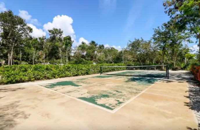 Sunlit, weathered outdoor pickleball court with peeling green paint, low net, surrounded by hedges and tropical trees under a bright blue sky
