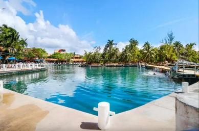 Inviting tropical lagoon with clear turquoise water, palm trees, wooden docks and a sunny blue sky