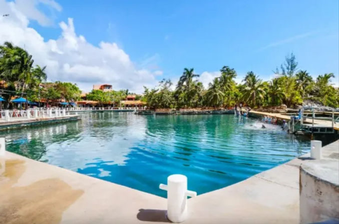 Inviting tropical lagoon with clear turquoise water, palm trees, wooden docks and a sunny blue sky