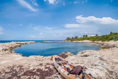 Orange kayak on a rocky shoreline beside a calm turquoise island cove with palm trees under a clear blue sky