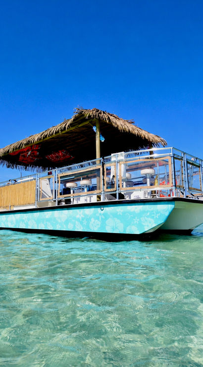 Tiki taco cruises