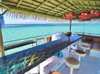Tiki Boat - Sandbar and Sunset Cruises Available! image