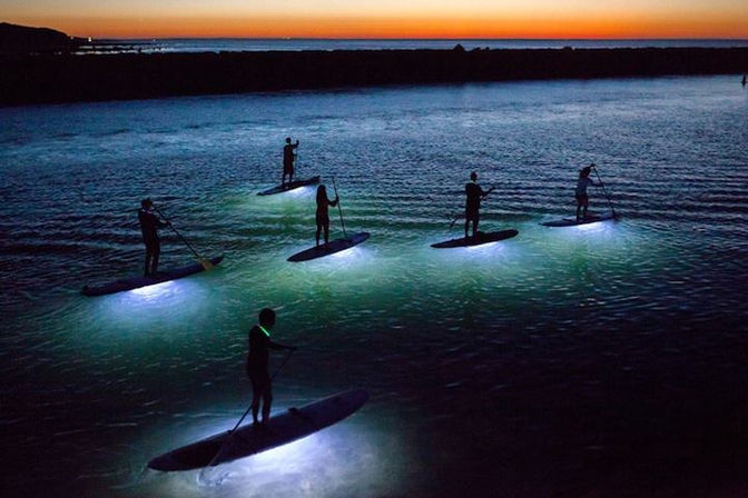 Group of stand-up paddleboarders paddling at dusk near a coastal sunset, their boards glowing with underwater LED lights over calm ocean water.