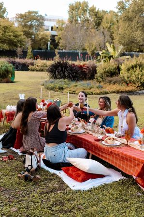Pumpkins & Prosecco Luxury Picnic Experience image 10