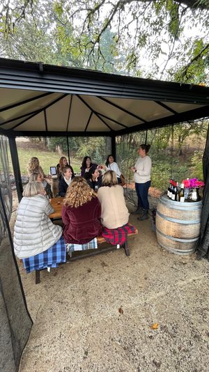 Group of people at an outdoor wine tasting under a screened gazebo on a wooded hillside, seated at picnic tables while a host speaks beside a wine barrel with bottles and flowers — cozy autumn gathering.