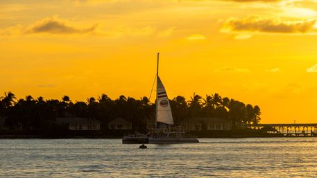 Catamaran sailboat silhouetted against a golden sunset over calm coastal waters with palm trees and a pier along a tropical shoreline.