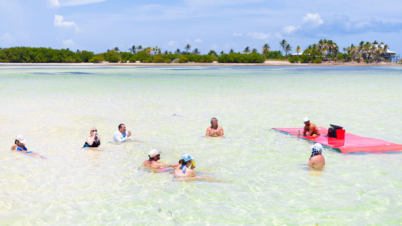 Group of people wading and relaxing in shallow turquoise lagoon with a palm‑lined tropical island and sunny sky in the background.