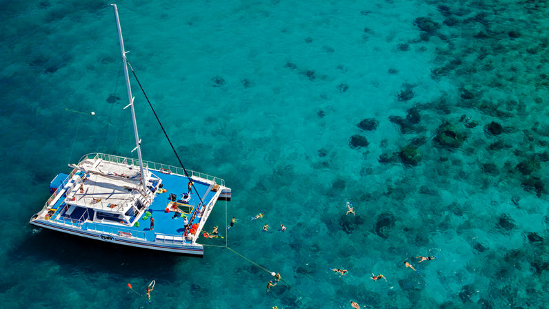 Aerial view of a blue-deck catamaran anchored in clear tropical turquoise water with swimmers and snorkelers exploring coral patches around the boat