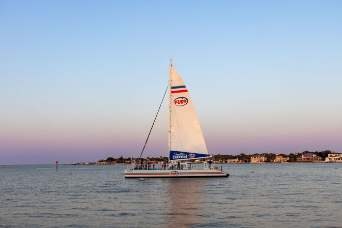 White catamaran sailboat with tall sail gliding across a calm coastal bay at sunset, pastel sky and waterfront homes along the horizon.