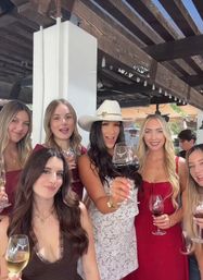 Wine Tasting with Chocolate & Cheese Pairing image 1