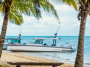 White motorboat anchored off a sandy tropical beach framed by palm trees, calm turquoise water and a cloudy sky — relaxed coastal scene